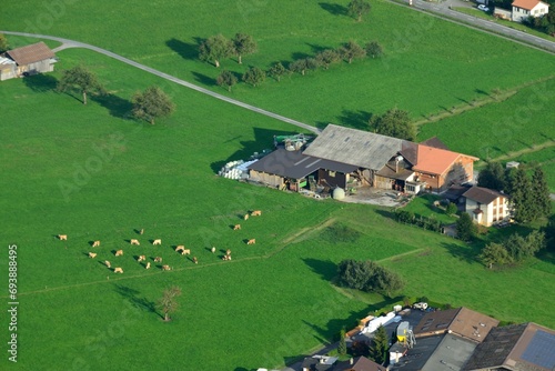 Campos de cultivo alrededor de Interlaken, Cantón de Berna, Suiza