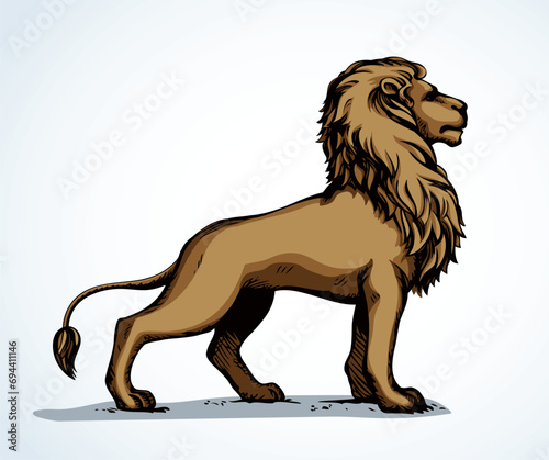Vector drawing. Lion look for prey