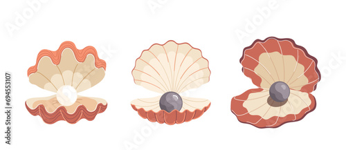 Elegance open pecten sea shell with shiny pearl balls inside isolated set on white background