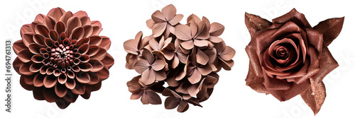 Set of brown flowers on isolated background