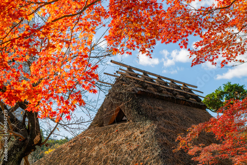 藁葺き屋根の日本家屋と秋の紅葉
