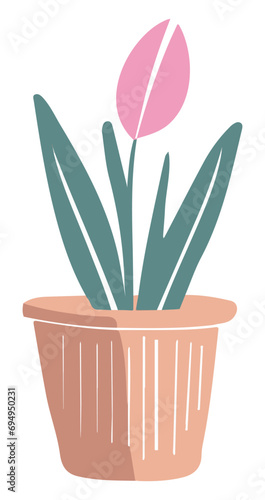 Tulipan w doniczce ilustracja