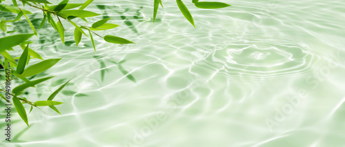 border of green bamboo leaves over sunny water surface background banner, beautiful spa nature scene with asian spirit and copy space