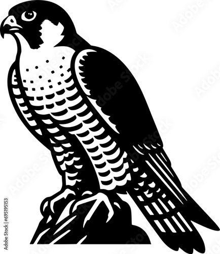 Peregrine Falcon icon 15