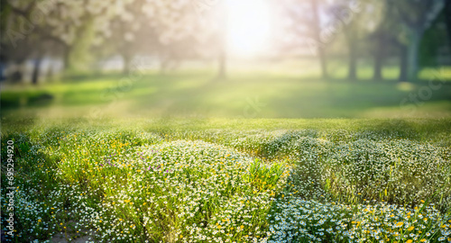 Beautiful spring natural landscape. Spring background image with blooming young lush grass in a clearing against a background of trees.