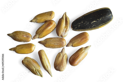 Dried sunflower seeds isolated on transparent background. File extension .png.