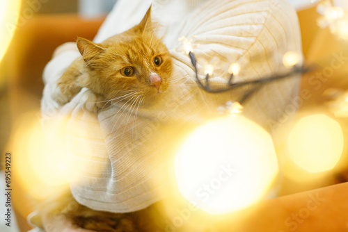 Adorable ginger cat sitting in woman hands in room with christmas lights. Pet adoption concept. Person in cozy sweater hugging cute scared cat on bed