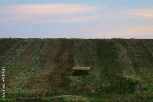 a filed in masuria with mowed hay
