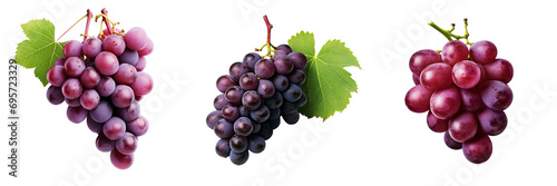 Juicy Grape Duo Set with Transparency � Perfect for Graphics and Design