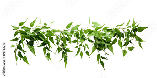 vernonia eliptica green leaves hanging wreath Artificial Intelligence Generative