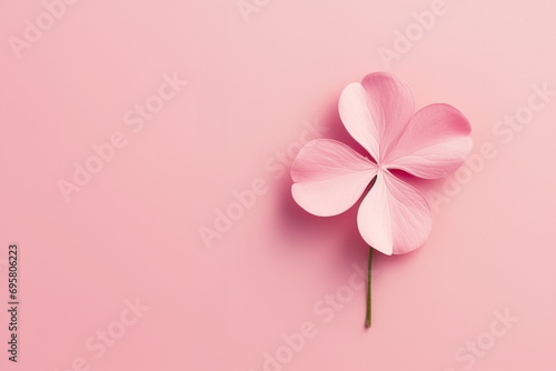 Pastel pink four leaf clover. Concept of luck, fortune, rarity, nature.