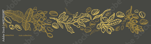 Vector hand drawn pistachio tree branch set with leaves and nuts. Botanical drawing. Vintage style. Nuts and seeds collection. 