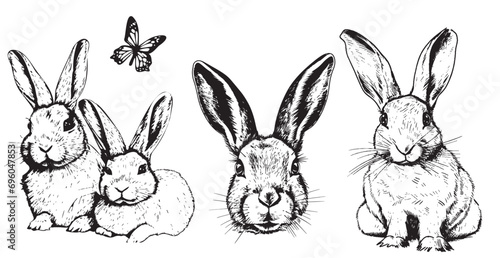 Bunny set hand drawn sketch Farm animals
