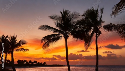 silhouette of palm trees at tropical sunrise or sunset