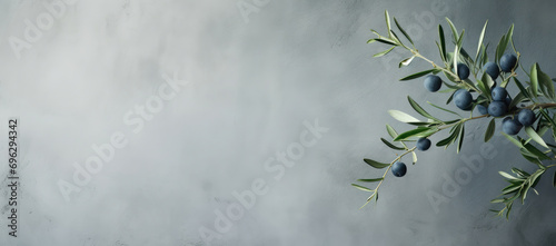 Olive branch with dark blue olives on a subtle grey textured background, evoking elegance and nature.