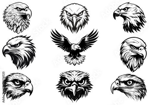 eagle logo template vector logo vector 