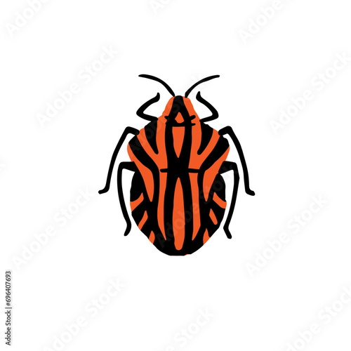 Graphosoma lineatum, minstrel bug. Realistic shield beetle. Red insect with black stripes. Stink small striped animal. Macro nature. Flat isolated hand drawn vector illustration on white background