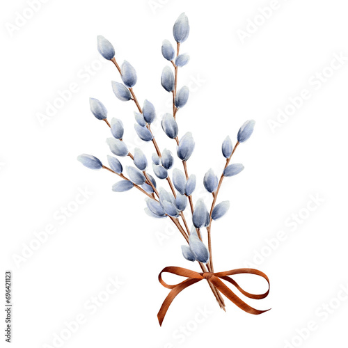 Watercolor fluffy willow branches set isolated on a white background. Hand painted realistic graphic spring sketch illustration. 