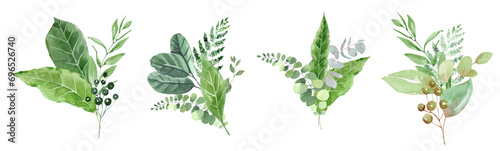 Watercolor vector green leaves plant clipart, green leaves branches, twigs elements, botanical vector isolated on white background, bouquets greeting or wedding card invitation, 