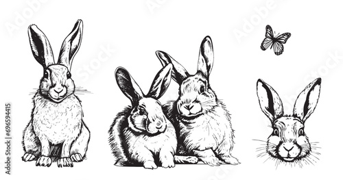 Little bunny set hand drawn sketch animals Vector illustration