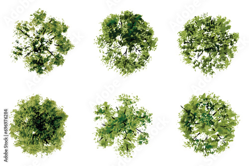 vector top view of trees and bushes vector illustrations set. landscape elements for garden, park or forest, plants 
