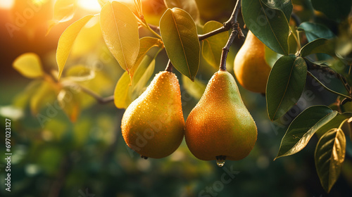 Branch of ripe organic cultivar of pears close-up in the summer garden.Generative AI