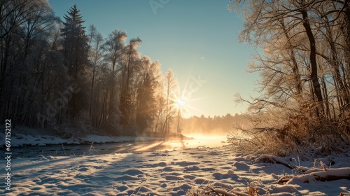 Beautiful view of the winter landscape, beautiful trees by the river, beautiful sunny day in winter