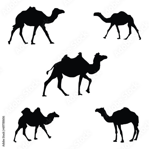 Black and white camel Silhouettes. Vector