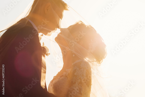 profile of newlyweds covered in wedding veil. the bride and groo