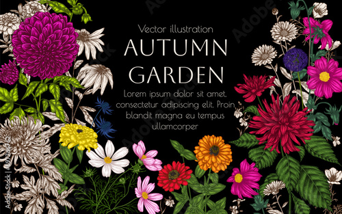 Vector frame from autumn garden. Dahlia, cosmos, zinnia, calendula, rudbeckia, chrysanthemum