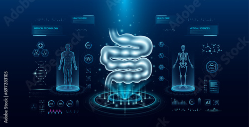 Small intestine health care technology with scan virtual interface hologram style. X ray and MRT human body examination. Medical diagnostic with HUD, GUI. Analysis in futuristic laboratory. Vector.