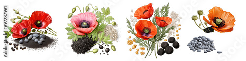 Poppy Seeds Hyperrealistic Highly Detailed Isolated On Transparent Background Png File