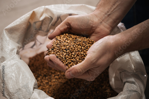 wheat malt in the hands of a male brewer in production