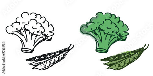 Hand drawn illustration of ripe green pea pod and broccoli inflorescence isolated on white 