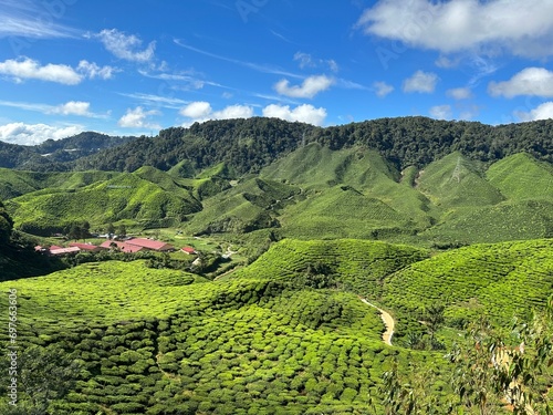 cameroon highland valleys