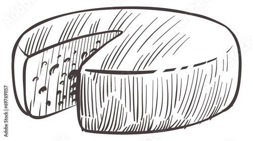 Gouda sketch. Hand drawn cheese wheel cut