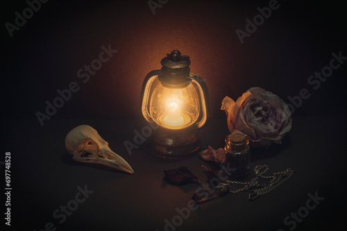 Atmospheric magic items. Birds skull, burning lantern, pale rose flower, amulet in the dark, low key.