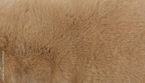 Seamless fluffy light brown fur texture background