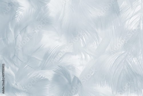 Beautiful white baby blue colors tone feather pattern texture cool background for decorative design wallpaper and other