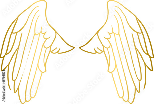 Golden angel wings, gold wings 