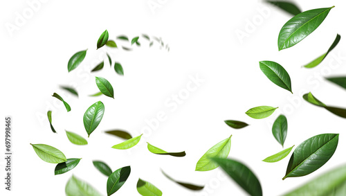 Greenery freshness leaves twist flowing in the air cutout transparent backgrounds 3d rendering png