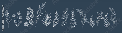collection de plantes et herbes graphiques au trait blanc sur fond bleu