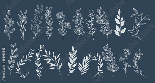 collection de plantes et herbes graphiques au trait blanc sur fond bleu