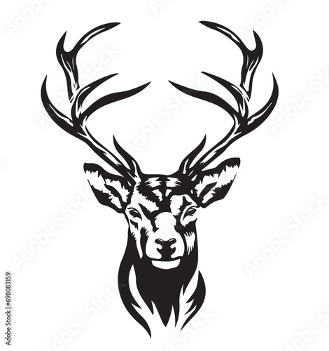an adult male deer head on a white background