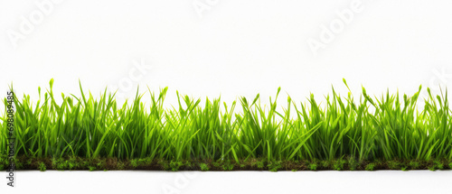Green grass isolated on white background with clipping path. Spring concept .