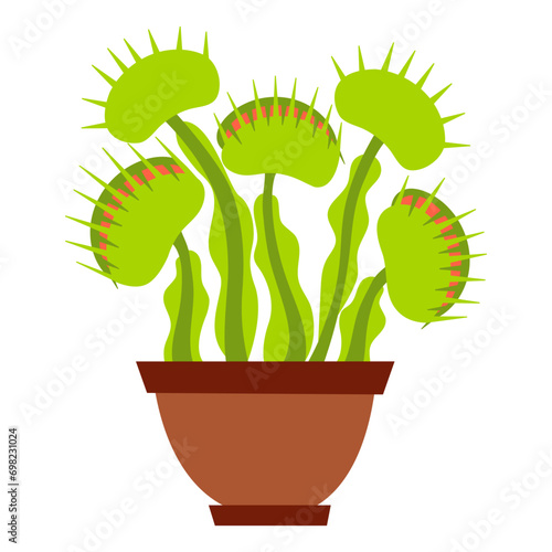 Venus flytrap cartoon vector illustration isolated on white background. Dionaea muscipula plant. Carnivorous plant in pot. Venus's flytrap illustration