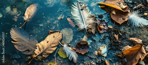 Lake debris, including feathers, leaves, and garbage.