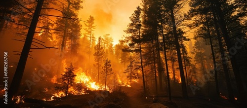 Human-caused fire ignites catastrophic forest blaze.