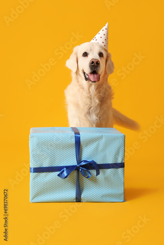 Adorable golden retriever in party hat with gift box on yellow background