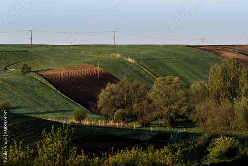 krajobraz, niebo, pola, zieleń, lato, góra, drzewa, obszar wiejski, błękit, chmura, górka, piękne, rolnictwo, panorama, kraina, kraj, droga, ponidzie, rzepak, mgła, wschód, słońce